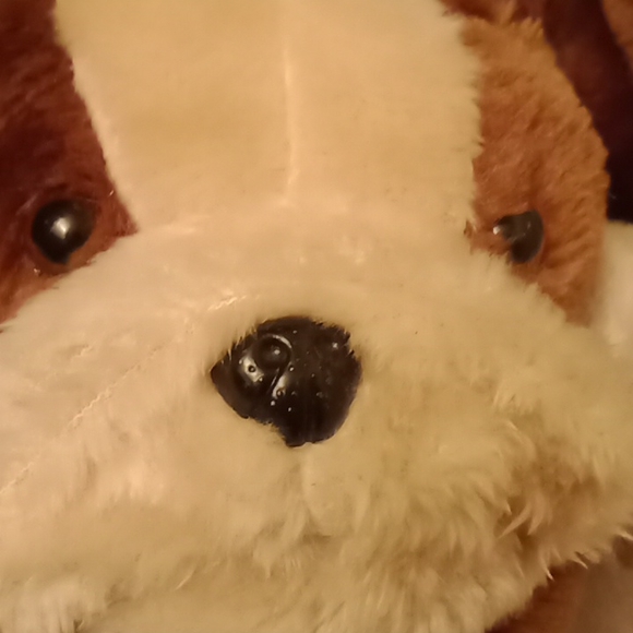 Cute dog slippers 🐕 - Picture 16 of 16